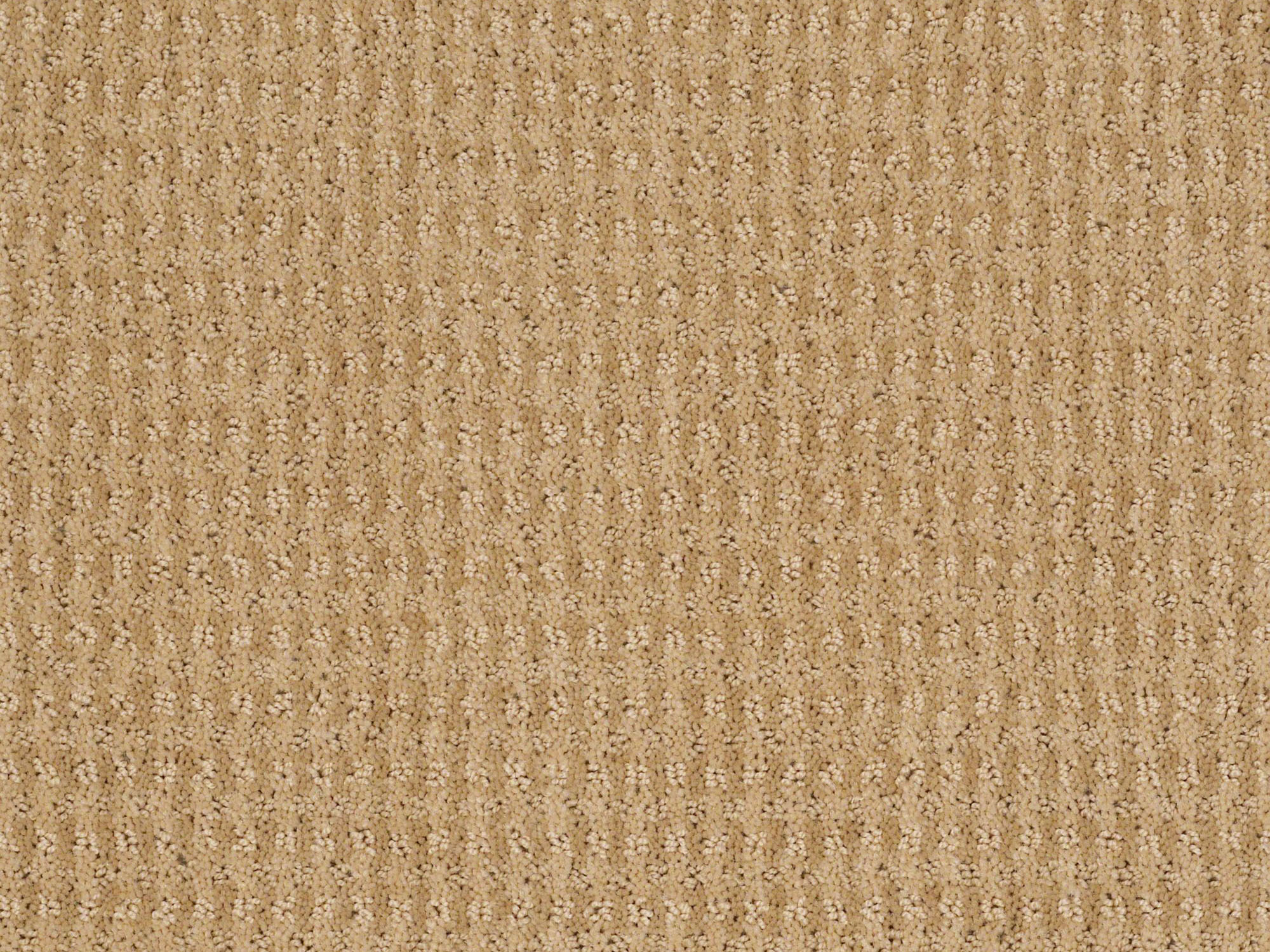 flortec.ca product samples