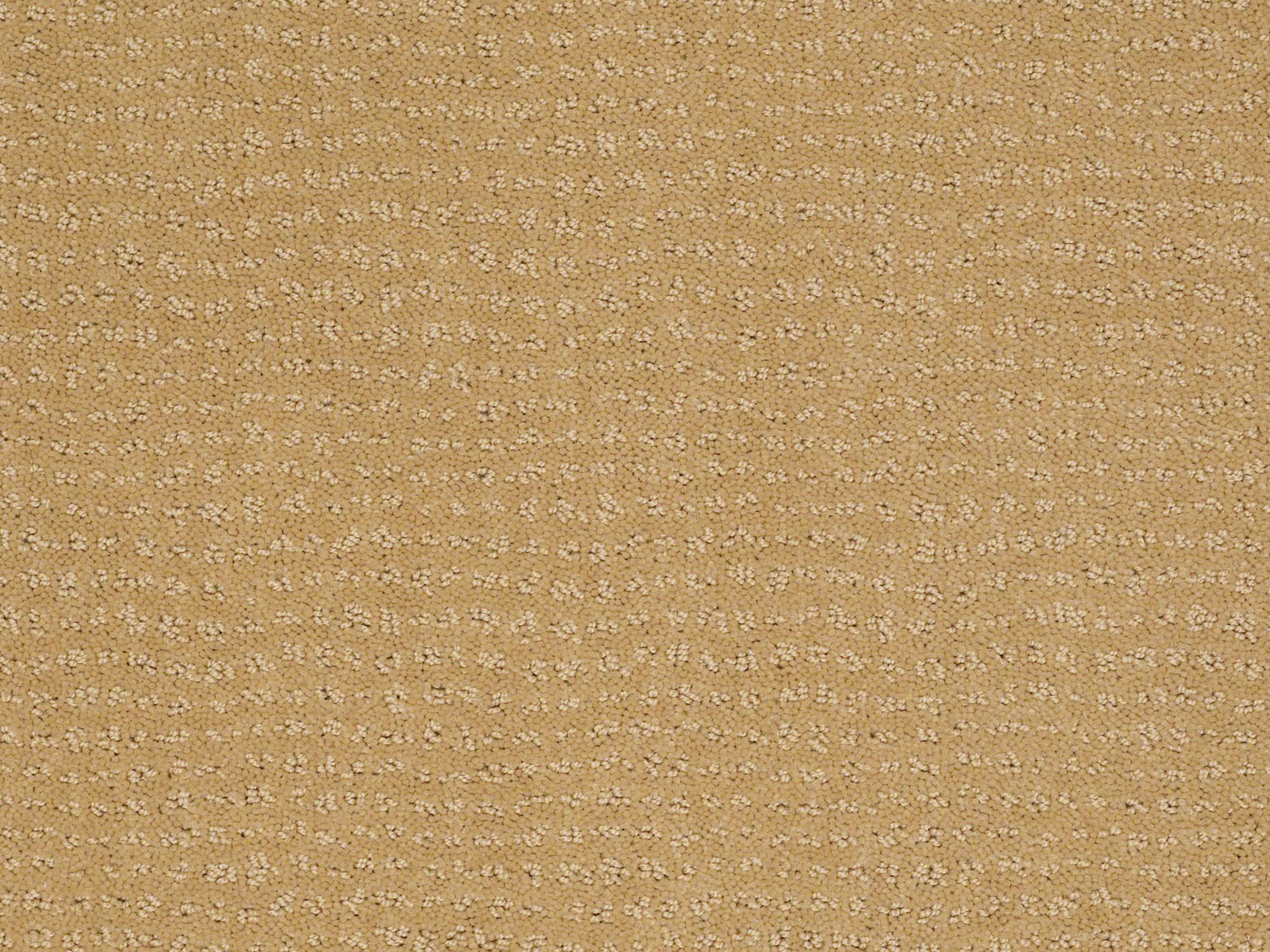flortec.ca product samples