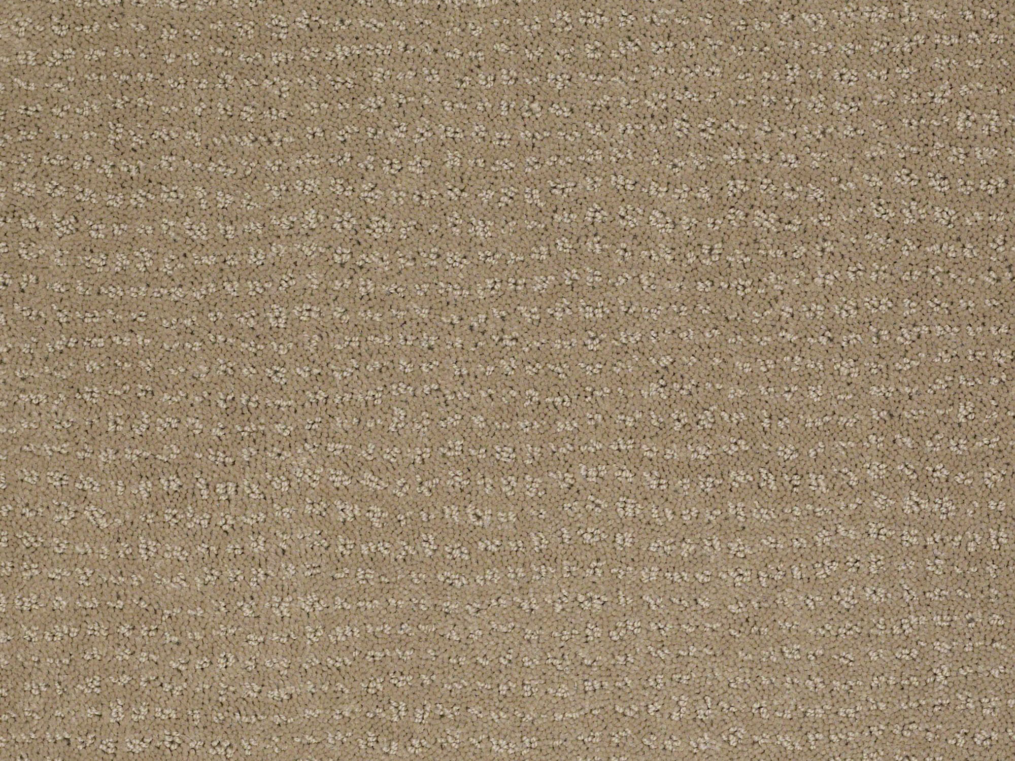 flortec.ca product samples