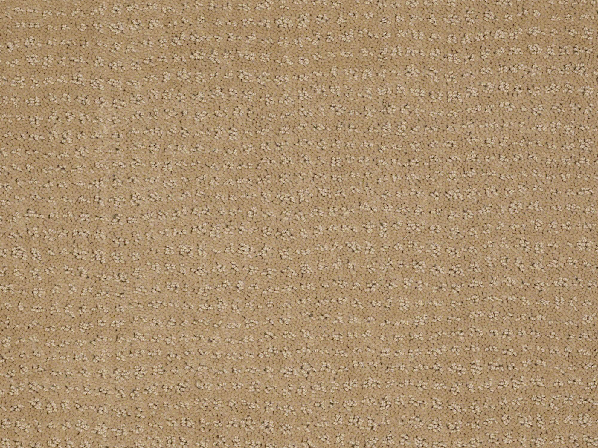 flortec.ca product samples
