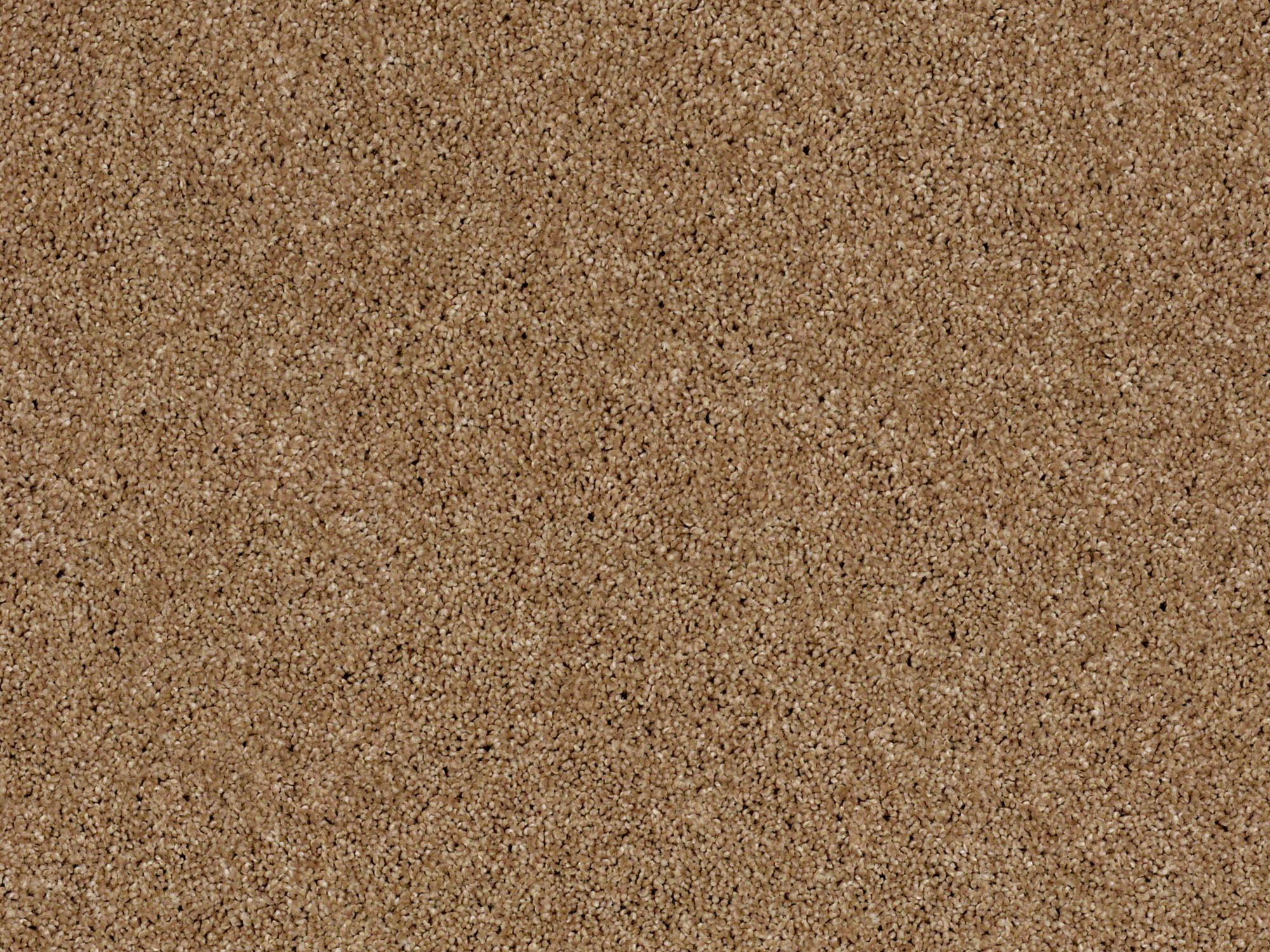 flortec.ca product samples