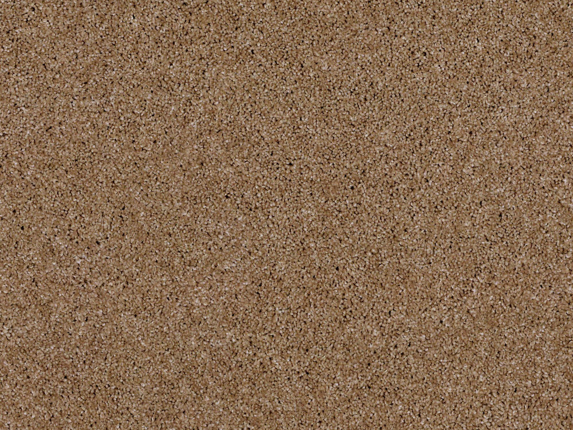 flortec.ca product samples
